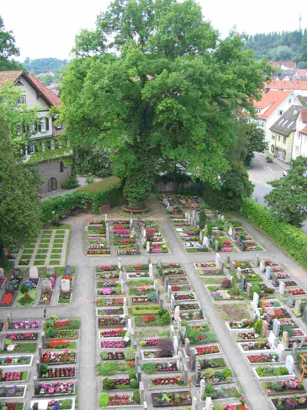 Friedhof